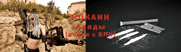 стаф Сосновый Бор