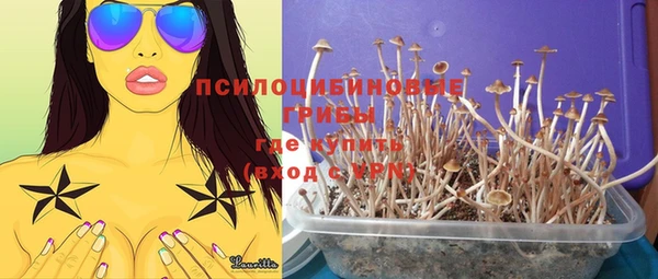 шишки Сосновка