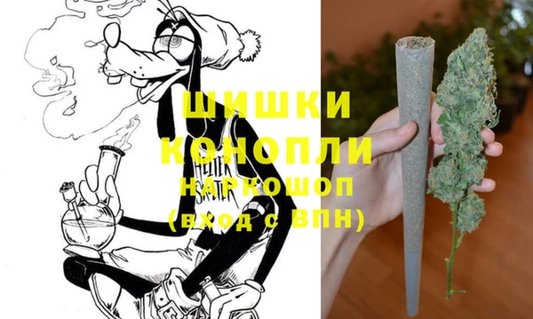 шишки Сосновка