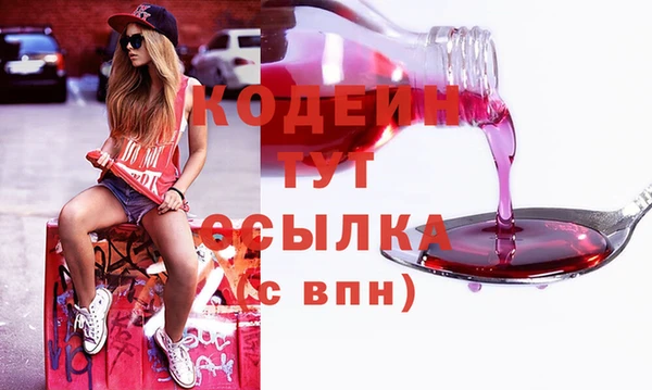 шишки Сосновка