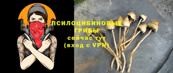 ALPHA PVP Снежинск