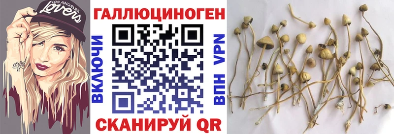 Псилоцибиновые грибы мицелий  Купить где  Чистополь 